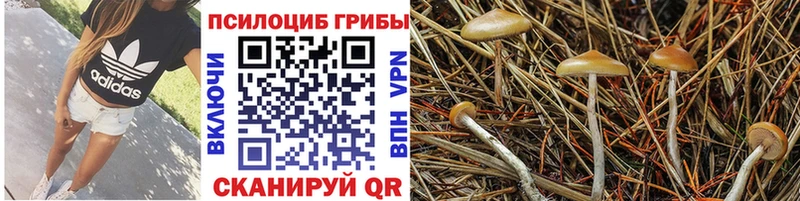 Купить  Верхотурье  Галлюциногенные грибы мухоморы 